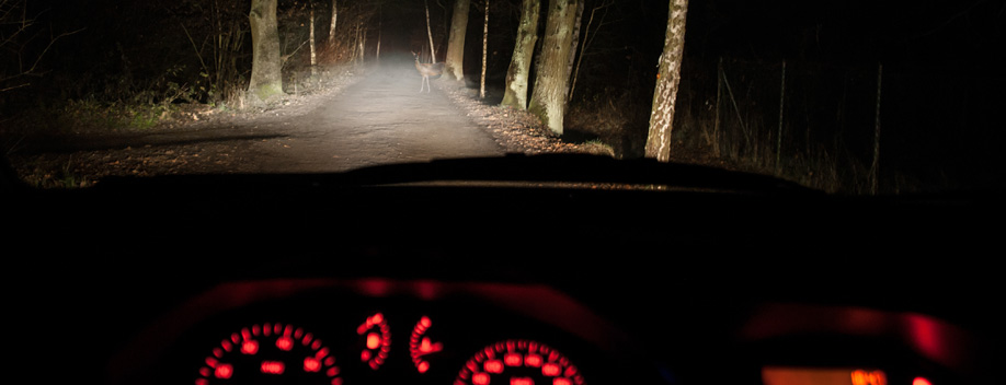 Affichage tableau de bord de voiture de nuit avec un éclairage de