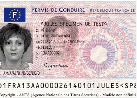 nouveau-permis-puce